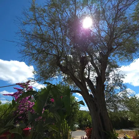 Casa de Férias Cantinho No Barrocal T1
