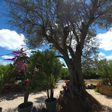 Casa De Ferias Escapadas Casa Amorosa Tranquilidade E Natureza 1 6 Pessoas Dom wakacyjny